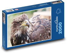 Eagle Head Puzzle 2000 pieces - 90 x 60 cm