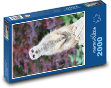 Meerkat Puzzle 2000 pieces - 90 x 60 cm