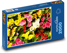 Kvety - Kala Puzzle 2000 dielikov - 90 x 60 cm