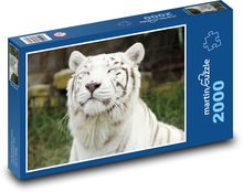 White Tiger Puzzle 2000 pieces - 90 x 60 cm