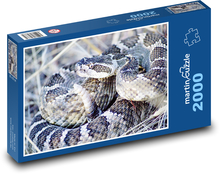 Grzechotnik - wąż Puzzle 2000 elementów - 90x60 cm