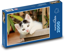 Mačka - mačiatko Puzzle 2000 dielikov - 90 x 60 cm