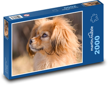 Pies - ssak Puzzle 2000 elementów - 90x60 cm