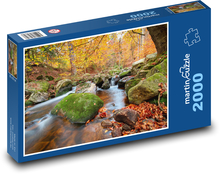 Die Ilz - Herbstlandschaft Puzzle 2000 Teile - 90 x 60 cm