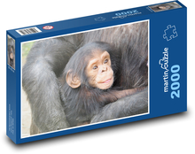 Šimpanz - mládě Puzzle 2000 dílků - 90 x 60 cm