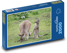 Kangur - torbacz Puzzle 2000 elementów - 90x60 cm