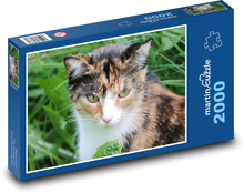 Gepunktete Katze Puzzle 2000 Teile - 90 x 60 cm