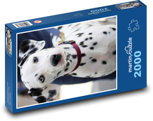 Dalmatin - pes Puzzle 2000 dílků - 90 x 60 cm