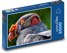 Geier - Vogel Puzzle 2000 Teile - 90 x 60 cm