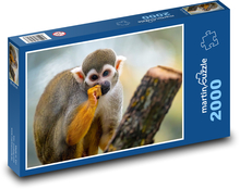 Kleiner Affe Puzzle 2000 Teile - 90 x 60 cm