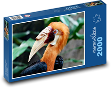 Nashornvogel - Vogel Puzzle 2000 Teile - 90 x 60 cm