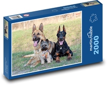 Doberman, Yorkshire Terrier, German Shepherd Puzzle 2000 pieces - 90 x 60 cm