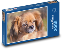Hund Puzzle 2000 Teile - 90 x 60 cm