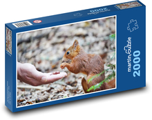 Veverička - hlodavec Puzzle 2000 dielikov - 90 x 60 cm