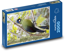 Bird - Feather Puzzle 2000 pieces - 90 x 60 cm