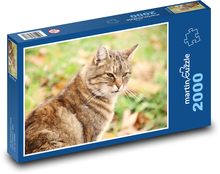 Mačka v záhrade Puzzle 2000 dielikov - 90 x 60 cm
