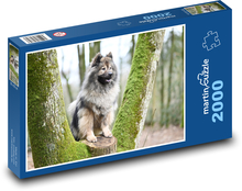 Eurasier - pies Puzzle 2000 elementów - 90x60 cm
