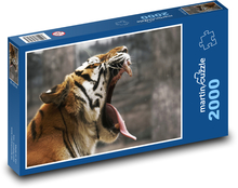 Bengálsky tiger Puzzle 2000 dielikov - 90 x 60 cm