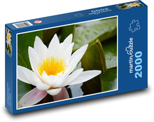White Water Lily - Flower Puzzle 2000 pieces - 90 x 60 cm