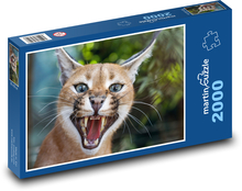 Mačka s dlhou bradou Puzzle 2000 dielikov - 90 x 60 cm