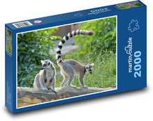 Kata Lemur Puzzle 2000 dielikov - 90 x 60 cm