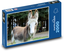 Osol domáci Puzzle 2000 dielikov - 90 x 60 cm