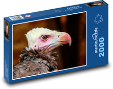 Geier - Vogel Puzzle 2000 Teile - 90 x 60 cm