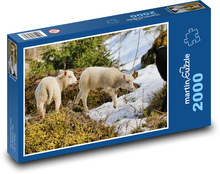 Ein Schaf, ein Lamm. Puzzle 2000 Teile - 90 x 60 cm