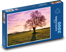 Popol - strom Puzzle 2000 dielikov - 90 x 60 cm
