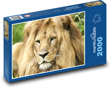 Lion Puzzle 2000 pieces - 90 x 60 cm