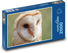 Lesser eagle-owl Puzzle 2000 pieces - 90 x 60 cm