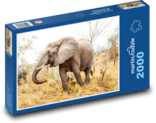 Elephant in nature Puzzle 2000 pieces - 90 x 60 cm