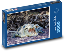 Alligator Puzzle 2000 Teile - 90 x 60 cm