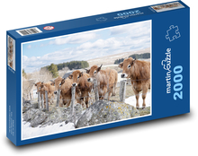 Zima - kráva Puzzle 2000 dílků - 90 x 60 cm