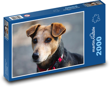 Pes zmiešaného plemena Puzzle 2000 dielikov - 90 x 60 cm