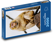 Opice - makak Puzzle 2000 dílků - 90 x 60 cm