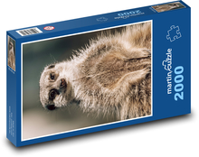 Surikata Puzzle 2000 dielikov - 90 x 60 cm