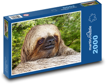 Lenistwo Puzzle 2000 elementów - 90x60 cm