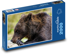 Niedźwiedź brunatny Puzzle 2000 elementów - 90x60 cm