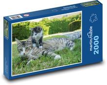 Mladá mačka s mamou Puzzle 2000 dielikov - 90 x 60 cm