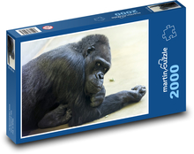 Monkey - gorilla Puzzle 2000 pieces - 90 x 60 cm