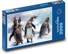 Tučniaky v snehu Puzzle 2000 dielikov - 90 x 60 cm