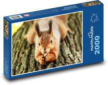 Veverička na strome Puzzle 2000 dielikov - 90 x 60 cm