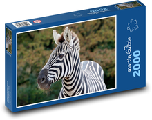 Zebra Puzzle 2000 dielikov - 90 x 60 cm