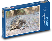 Spiny anteater Puzzle 2000 pieces - 90 x 60 cm