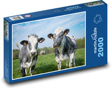 GRAZING COWS. Puzzle 2000 pieces - 90 x 60 cm