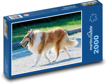 Langhaariger Collie Puzzle 2000 Teile - 90 x 60 cm