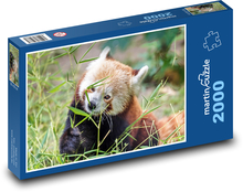 Panda červená Puzzle 2000 dílků - 90 x 60 cm
