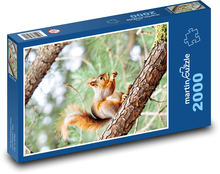 Veverička stromová Puzzle 2000 dielikov - 90 x 60 cm