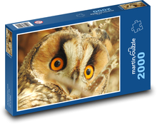 Sowa uszata Puzzle 2000 elementów - 90x60 cm